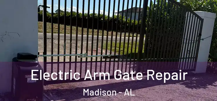 Electric Arm Gate Repair Madison - AL
